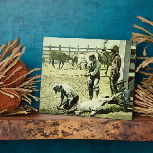 米国のカウボーイブランディングa子牛、c.1900 (写真) フォトプラーク (側面)