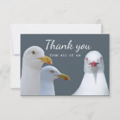 米国のシーガルグループのおもしろいに感謝 サンキューカード (正面)