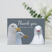 米国のシーガルグループのおもしろいに感謝 サンキューカード (スタンド正面)