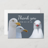 米国のシーガルグループのおもしろいに感謝 サンキューカード (正面/裏面)