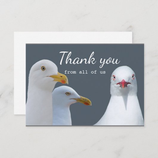 米国のシーガルグループのおもしろいに感謝 サンキューカード (正面/裏面)