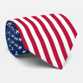 米国のタイ ネクタイ (ロール)