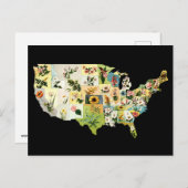 米国のフラワーマップ ポストカード (正面/裏面)