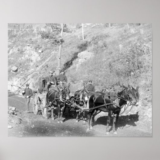 米国のペイマスターとデッドウッドロードのガード ポスター (正面)