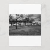 米国のポートアーサー、TXの橋。 白黒。 ポストカード (正面)