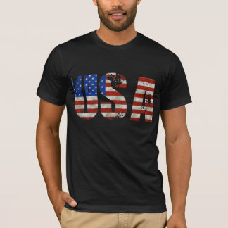 米国のワイシャツ Tシャツ
