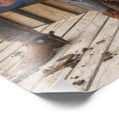 米国の北米。カウボーイリラックスズと フォトプリント            (角)