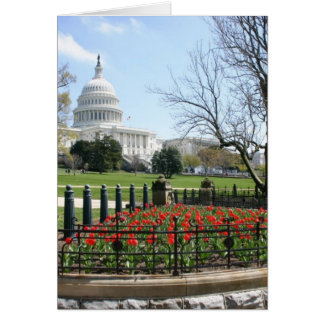 米国の国会議事堂の建物の春