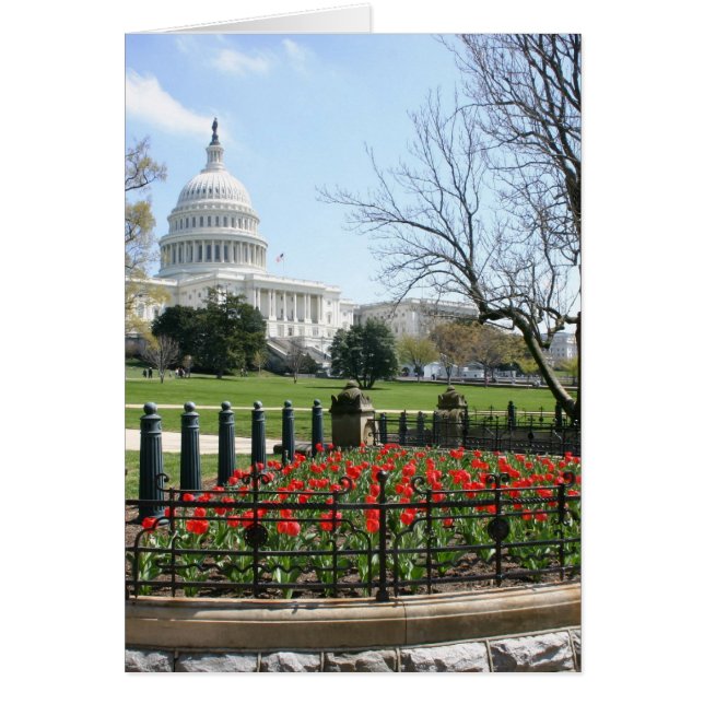 米国の国会議事堂の建物の春 (正面)