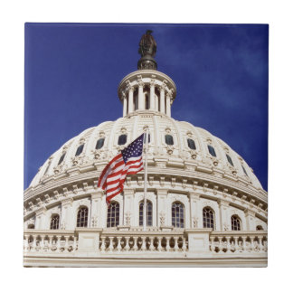 米国の国会議事堂の建物、Washington D.C. タイル