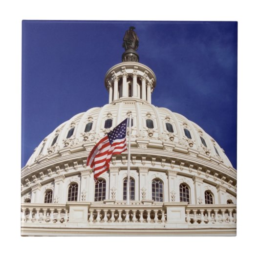 米国の国会議事堂の建物、Washington D.C. タイル (正面)