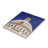 米国の国会議事堂の建物、Washington D.C. タイル (側面)