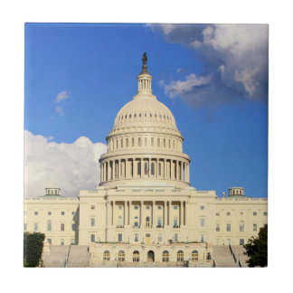 米国の国会議事堂の建物、Washington D.C.、米国 タイル