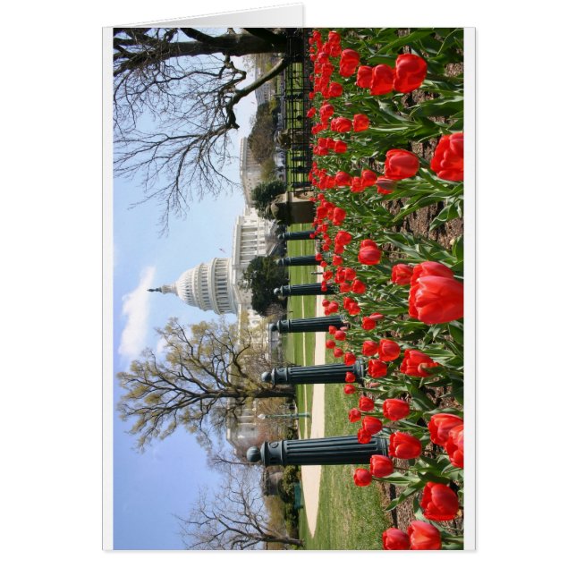 米国の国会議事堂の春の花 (正面)