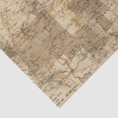 米国の地理的な調査2の1878進歩の地図 薄葉紙 (詳細)