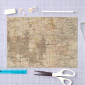 米国の地理的な調査2の1878進歩の地図 薄葉紙 (クラフト)