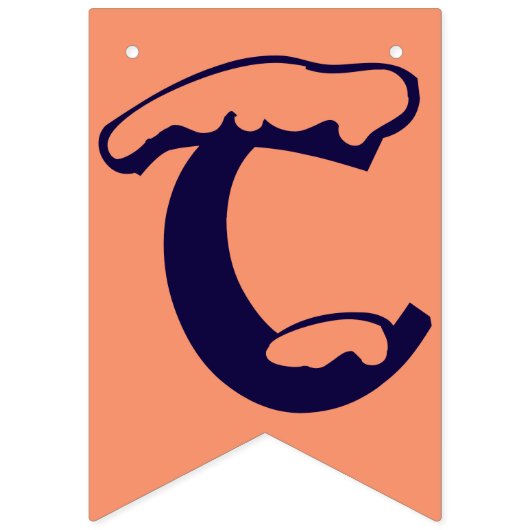 米国の大統領にとって、我々は共に強い バンティングフラッグ (第3の旗)