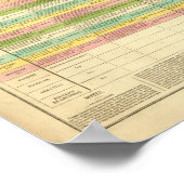 米国の憲法を比較した表 ポスター (角)