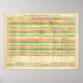 米国の憲法を比較した表 ポスター (正面)