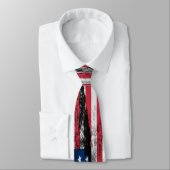 米国の戦いの擦り切れたなタイ ネクタイ (タイ)