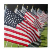 米国の旗が付いている歴史的な軍の墓地 タイル (正面)