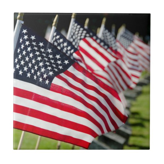 米国の旗が付いている歴史的な軍の墓地 タイル (正面)