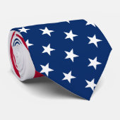 米国の旗のタイ ネクタイ (ロール)