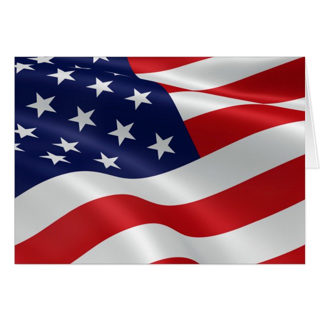 米国の旗 (正面横)