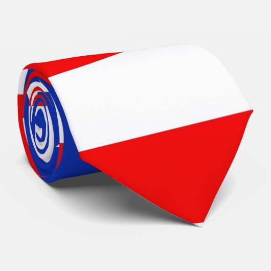 米国の旗 ネクタイ (ロール)