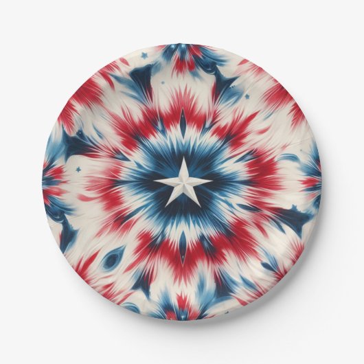 米国の星 ペーパープレート (正面)
