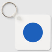 米国の民主党がアンチ・トランプに抗議を支持するブルードット キーホルダー (正面)