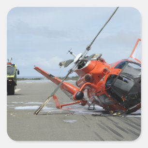 米国の沿岸警備隊MH-65のイルカのヘリコプター事故 スクエアシール