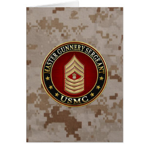 米国の海兵隊員: マスターの特務曹長(USMC MGySgt)