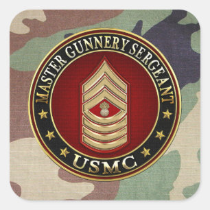 米国の海兵隊員: マスターの特務曹長(USMC MGySgt) スクエアシール