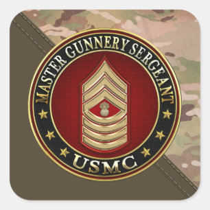 米国の海兵隊員: マスターの特務曹長(USMC MGySgt) スクエアシール