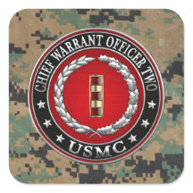 米国の海兵隊：主任令状2(USMC CWO-2) [3D]