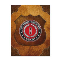 米国の海兵隊：主任令状3(USMC CWO-3) [3D]