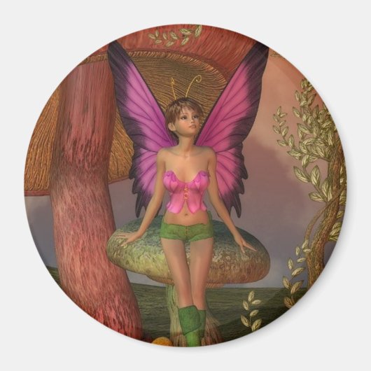 米国の磁石の魔法 マグネット (正面)