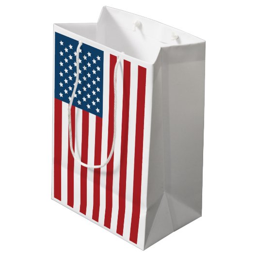 米国の米国旗の星条旗 ミディアムペーパーバッグ (裏面アングル)