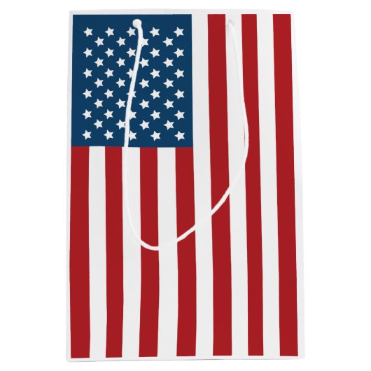 米国の米国旗の星条旗 ミディアムペーパーバッグ (正面)