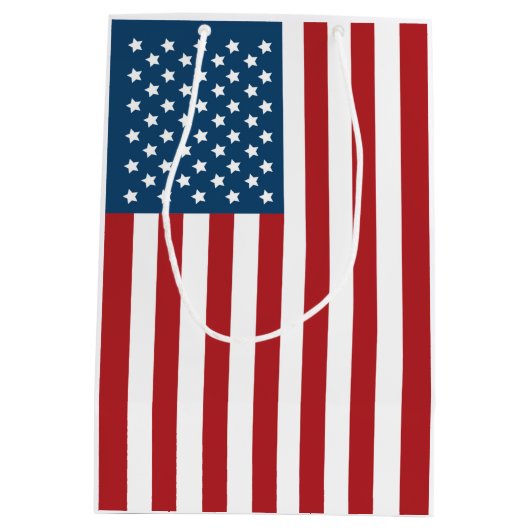 米国の米国旗の星条旗 ミディアムペーパーバッグ (裏面)