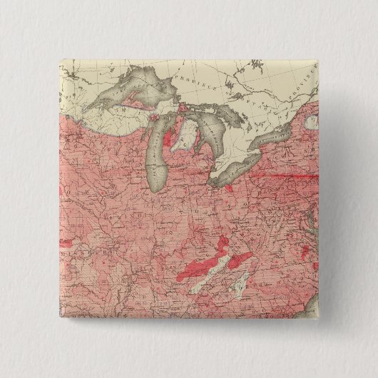 米国の腸疾患による死亡 缶バッジ (正面)