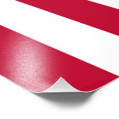 米国の自由の息子9ストライプカ国旗 フォトプリント            (角)