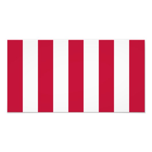 米国の自由の息子9ストライプカ国旗 フォトプリント            (正面)