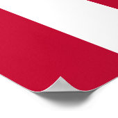 米国の自由の息子9ストライプカ国旗 ポスター (角)