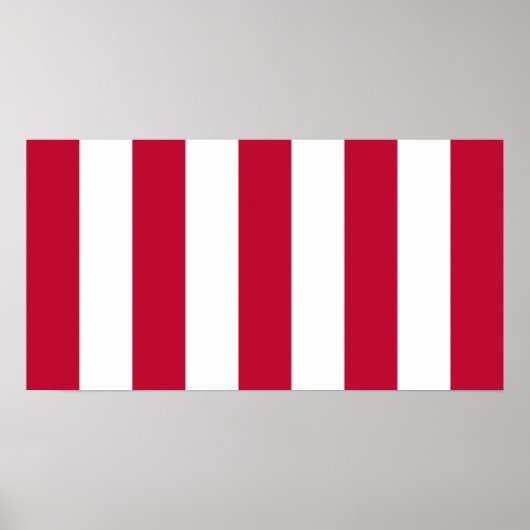 米国の自由の息子9ストライプカ国旗 ポスター (正面)