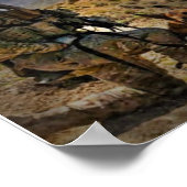 米国の退役軍人 ポスター (角)