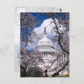 米国の首都とさくらんぼの花、ワシントンDC ポストカード (正面/裏面)
