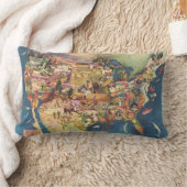 米国は-アメリカの農業及び農業地図を描きます ランバークッション (ブランケット)