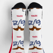 米国アイオワ州旗を持つアスレティッククルー靴下 ソックス (上部)